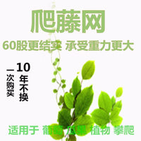 Heavy-Duty Trellis Netting for Climbing Plants, Fruits, and Vegetables - Garden and Farm Use