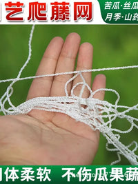 Plant Trellis Netting for Climbing Vines, Fruits, and Vegetables - Garden Support Mesh for Cucumbers, Gourds, Roses