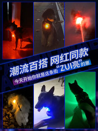 Pet LED Luminous Pendant & Collar Set for Night Safety