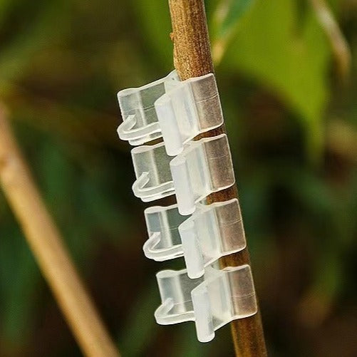 Plant Grafting Clips for Tomatoes and Garden Plants, Plastic