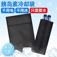 Portable Insulin Cooler Bag Medical Travel Case with Reusable Ice Packs