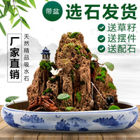 Absorbent Rock Bonsai Landscape Ornament for Micro-Landscape Aquariums and Gardens