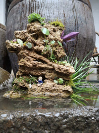 Natural Absorbent Stone Mountain Ornament for Fish Tank Landscaping and Bonsai