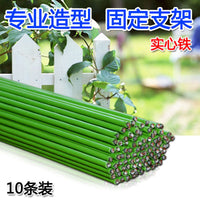 Plant Support Stakes for Climbing Vines, Potted Flowers, and Vegetables - 4mm Wire Garden Trellis