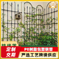 Garden Trellis for Climbing Plants, Rose, Clematis, Outdoor Fence Support