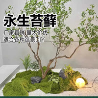 Artificial Moss Turf and Moss Silk for Micro Landscape Decor