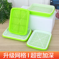 Hydroponic Seedling Tray for Home Use, Soilless Cultivation of Wheatgrass, Cat Grass, and Bean Sprouts