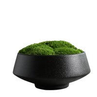Preserved Moss Bonsai Artificial Plant Micro Landscape Ornament for Table Decor