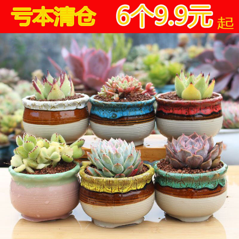 Breathable Ceramic Succulent Planter Pot Set with Drainage for Indoor Outdoor Plants