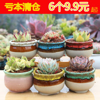 Breathable Ceramic Succulent Planter Pot Set with Drainage for Indoor Outdoor Plants