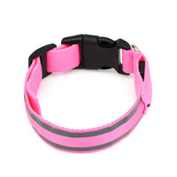 USB Rechargeable LED Light-Up Dog Collar for Night Walking with Reflective Material