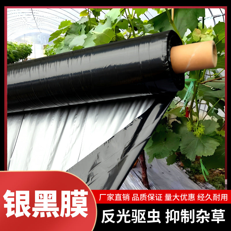 Silver-Black Agricultural Mulch Film for Planting, Thickened, Insulating, Reflective, Weed & Pest Control