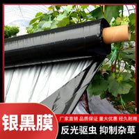 Silver-Black Agricultural Mulch Film for Planting, Thickened, Insulating, Reflective, Weed & Pest Control