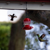 Outdoor Waterproof Hanging Bird Feeder for Wild Birds