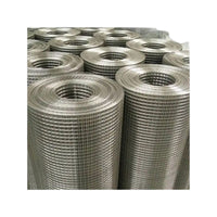 Hot-Dip Galvanized Steel Wire Mesh for Fencing and Enclosures