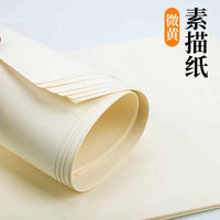 Sketch Paper for Artists, 160g/180g Drawing Paper for Pencils and Sketches, Large Format Art Paper