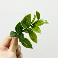 Artificial 5-Layer Willow Leaf Plant for Micro Landscape & Pot Decoration
