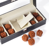 Large Capacity Walnut Storage Box with Glass Lid for Bracelets and Jewelry