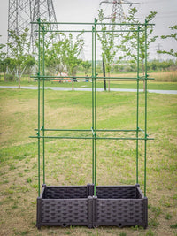 Garden Trellis Planter Box for Climbing Plants, Vegetables, and Fruits