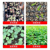 Seedling Starter Trays with Holes for Strawberry Watermelon Vegetables Succulents