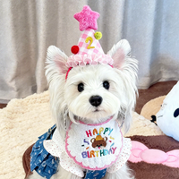 Pet Birthday Bandana Bib and Hat Set for Dogs and Cats, Cute Photo Prop Costume
