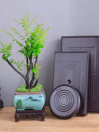 Thickened Plastic Plant Pot Saucer Round Square Rectangular Drip Tray for Indoor Outdoor Planters