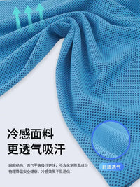 Rexl Cooling Sports Towel for Gym, Running, Hiking, and Travel - Quick-Dry & Sweat-Absorbent