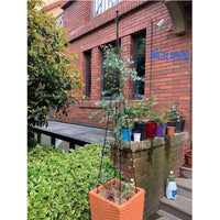 European Style Wrought Iron Climbing Plant Trellis for Potted Plants