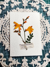 Dream Garden Handmade Pressed Real Flower Birthday Wedding Vow Gift Card