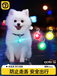 Pet LED Luminous Pendant & Collar Set for Night Safety