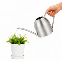 Stainless Steel Watering Can for Indoor Plants, Long Spout, 1.5L