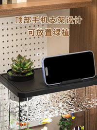 Desktop Acrylic Fish Tank with LED Light and Oxygenation System for Home and Office