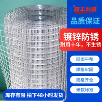 Galvanized Steel Wire Mesh Fence for Poultry and Rodent Protection, Small Grid Iron Netting for Balcony Guardrail