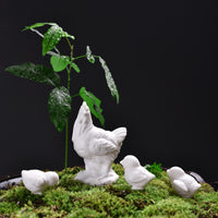 Miniature White Ceramic Chicken Figurines for Garden & Micro Landscape Decor