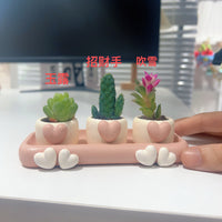 Heart-shaped Cartoon Succulent Planter Pots with Tray, Mini Creative Desktop Plant Pots
