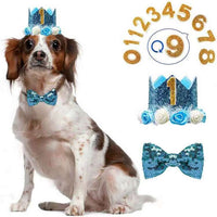 Pet Birthday Party Crown Hat and Bow Tie Set with Number Decorations