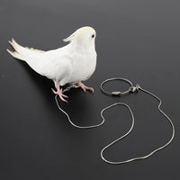 Parrot Stainless Steel Ankle Chain Leash for Small to Medium Birds - Outdoor Training and Walking Harness