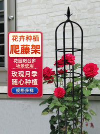 Garden Trellis for Climbing Plants, Round Metal Support for Roses, Clematis, and Potted Vines, Outdoor Plant Climbing Frame