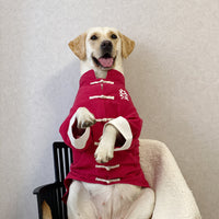 Chinese Style Pet Tang Suit for Large Dogs - New Year Festive Cotton Coat
