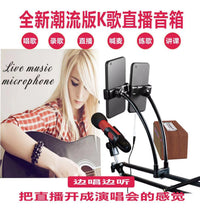 S308 Home KTV Cinema Audio Retro Wooden Bluetooth Speaker Outdoor Live Wireless U-Band Microphone