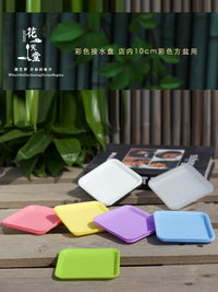 Plastic Plant Pot Saucer for Succulents and Green Plants, Square/Round, Multi-color, Various Sizes