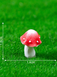 Miniature Jungle Mushroom Figurines for DIY Micro Landscape Decor