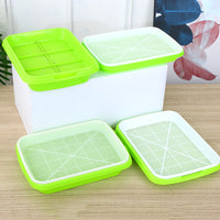 Hydroponic Seedling Tray for Home Use, Soilless Cultivation of Wheatgrass, Cat Grass, and Bean Sprouts