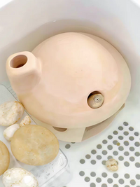 Cute Mushroom Turtle Hideout Cave for Reptiles and Fish, Decorative Aquarium Ornament