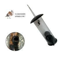 Outdoor Hanging Bird Feeder for Small Birds, Parrots, and Mynah Birds