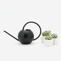 Long Spout Stainless Steel Watering Can for Indoor Plants & Bonsai, 1000ml