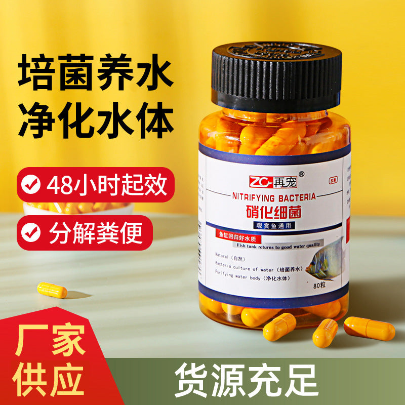 Pet Nitrifying Bacteria Capsules for Aquarium Water Purification and Stabilization