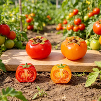 Miniature Simulation Tomato Resin Ornaments for Dollhouse DIY Scenes