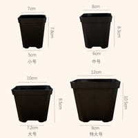 Clear Octagonal Thickened Plastic Succulent Planter Seedling Pot
