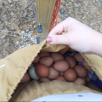 Outdoor Foraging Pouch Garden Harvest Bag Fruit Picking Waist Tool Bag Portable Travel Essential